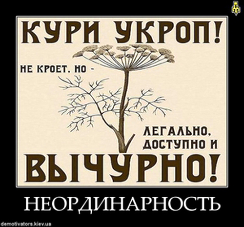 Смотреть барбоскины мультфильм смотреть все серии подряд на русском языке