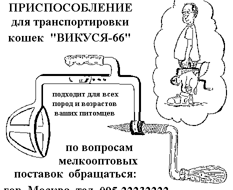 Размещенное изображение